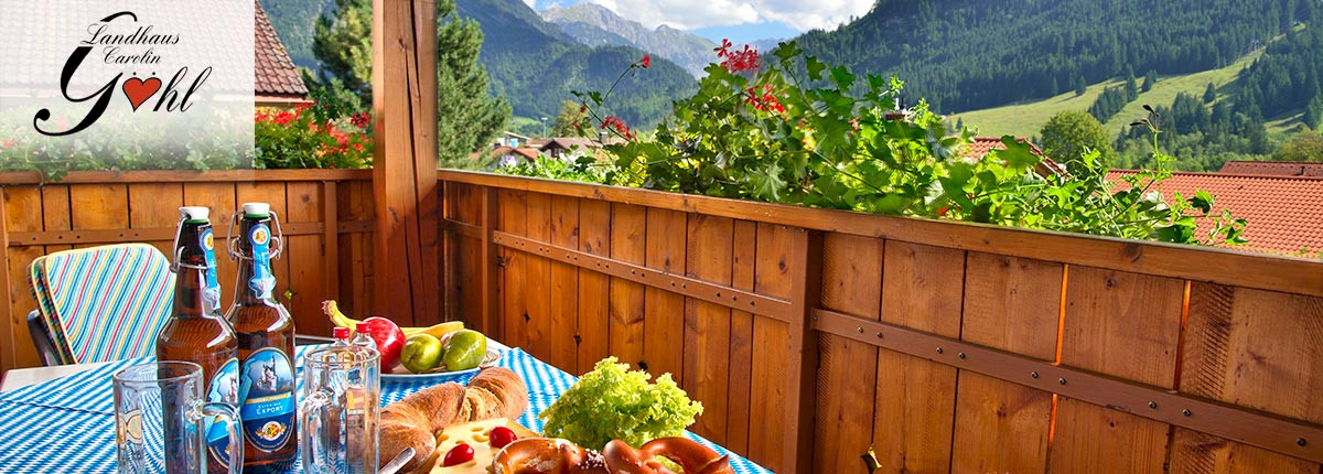 Südbalkon Wohnung 1