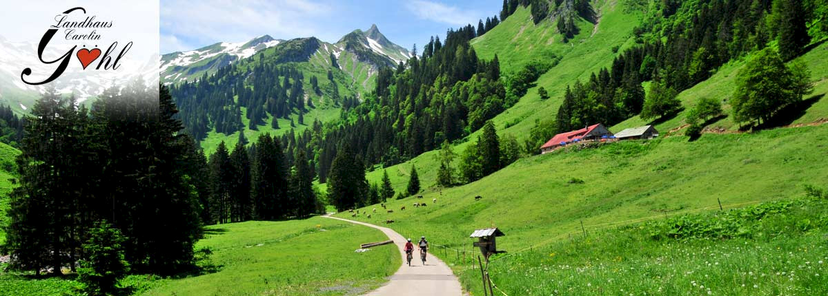 Zahlreiche verkehrsfreie- und arme Radstrecken jeden Schwierigkeitgrads (hier mit dem Rad ins nahe Hintersteiner Tal)